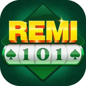 remi 101 logo