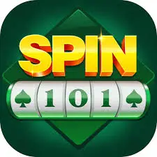 spin 101 logo